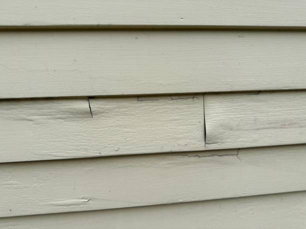Best Shed Removal  in North Wildwood, NJ